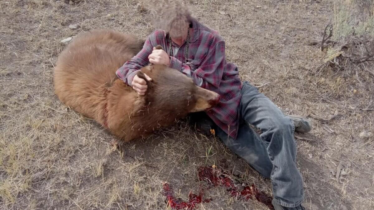 A photo of the suspect with the dead bear (suspects face is blurred).