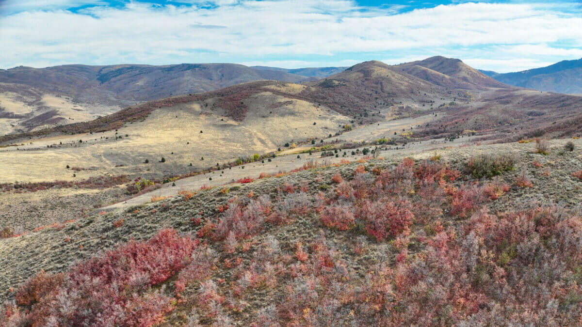A view from Bally Watts Ranch, a 2,772-acre property the Summit Land Conservancy has recently protected permanently.