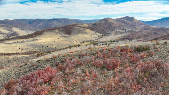 A view from Bally Watts Ranch, a 2,772-acre property the Summit Land Conservancy has recently protected permanently.
