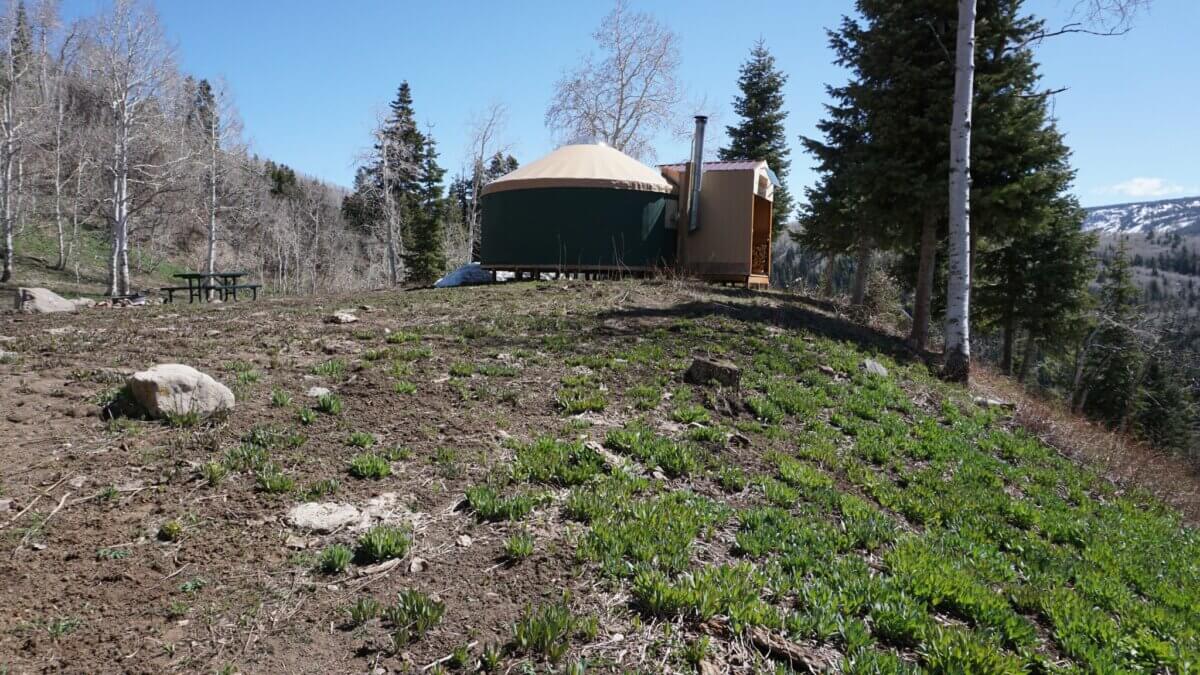 The rental yurt run by TUNA on the Mirror Lake Highway, site of the anual work party/certification session.