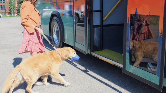 The dogs on buses pilot program began in June 2025.