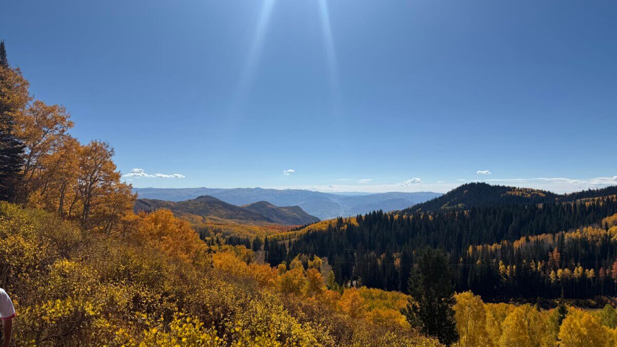 Fall colors at Bonanza Flats.