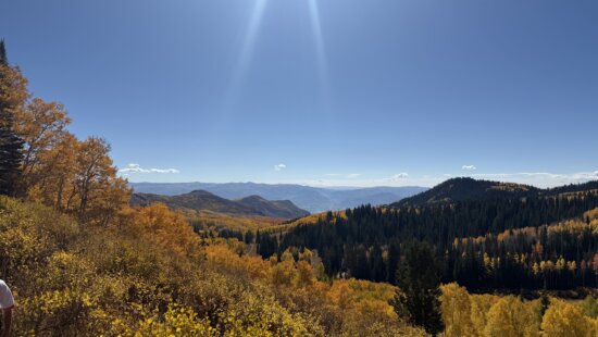 Fall colors at Bonanza Flats.