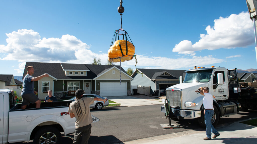 The Masons' 711 pound pumpkin needed to be lifted over their house by a crane.