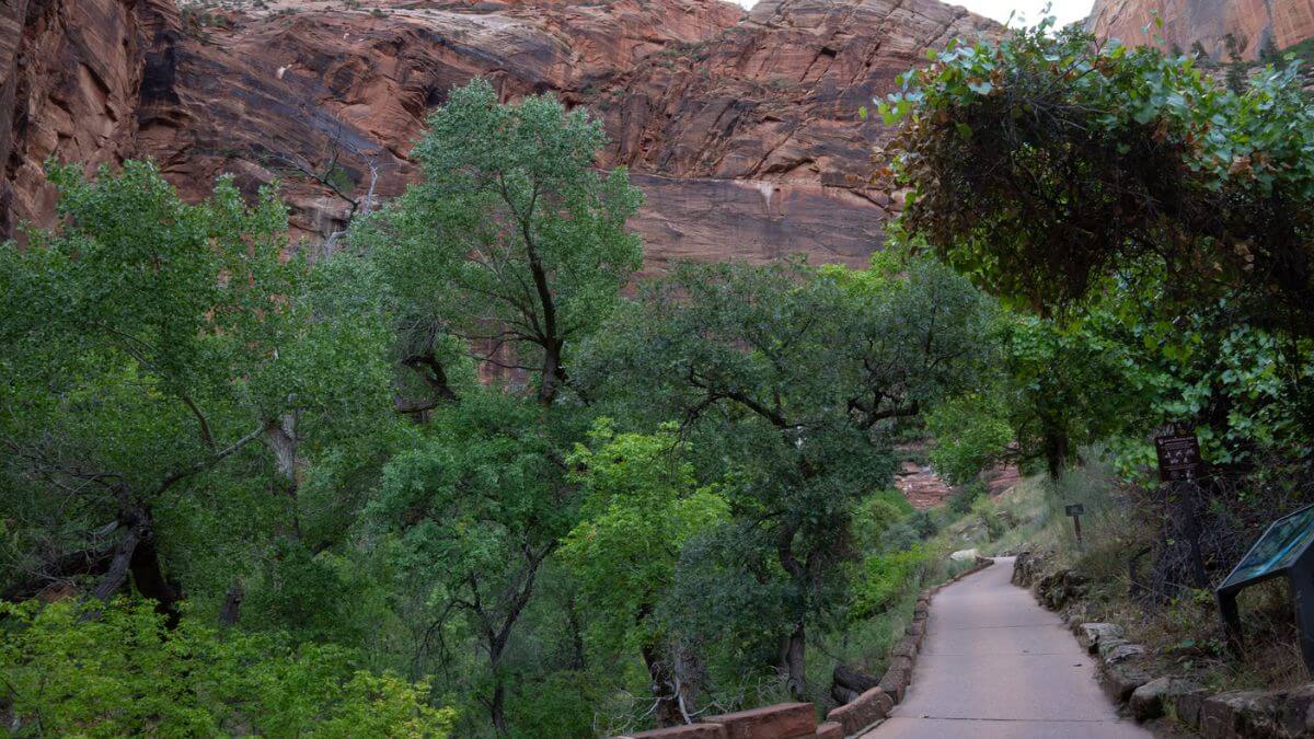 The Weeping Rock Trail is a short but steep 0.4-mile walk, climbing 98 feet, to an alcove with a hanging garden.