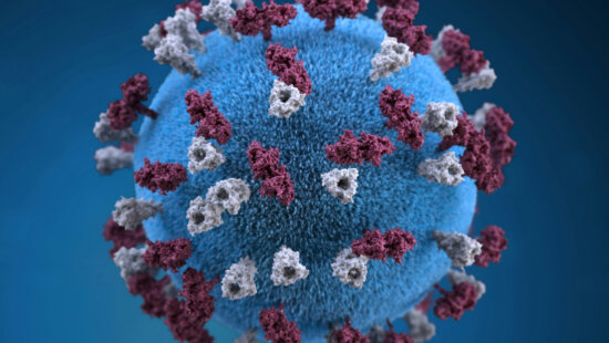 A 3D graphic representation of a spherical-shaped, measles virus particle, that was studded with glycoprotein tubercles.