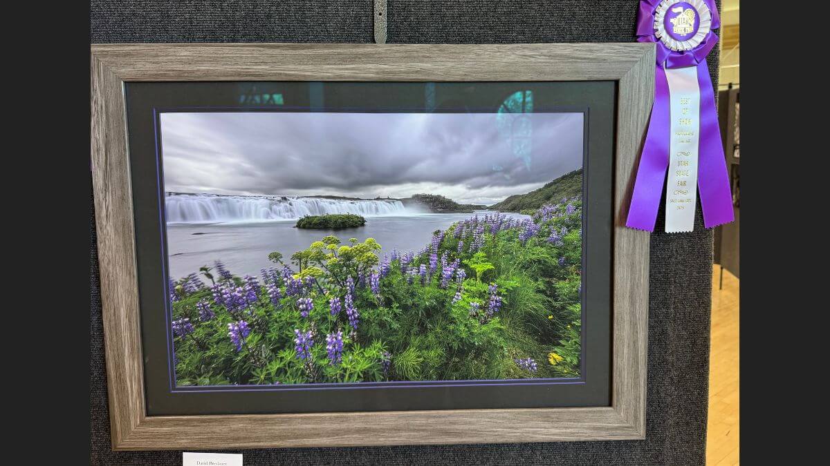David Breslauer's Best of Show (Fine Art) winner "Purple Winds of Faxifoss"