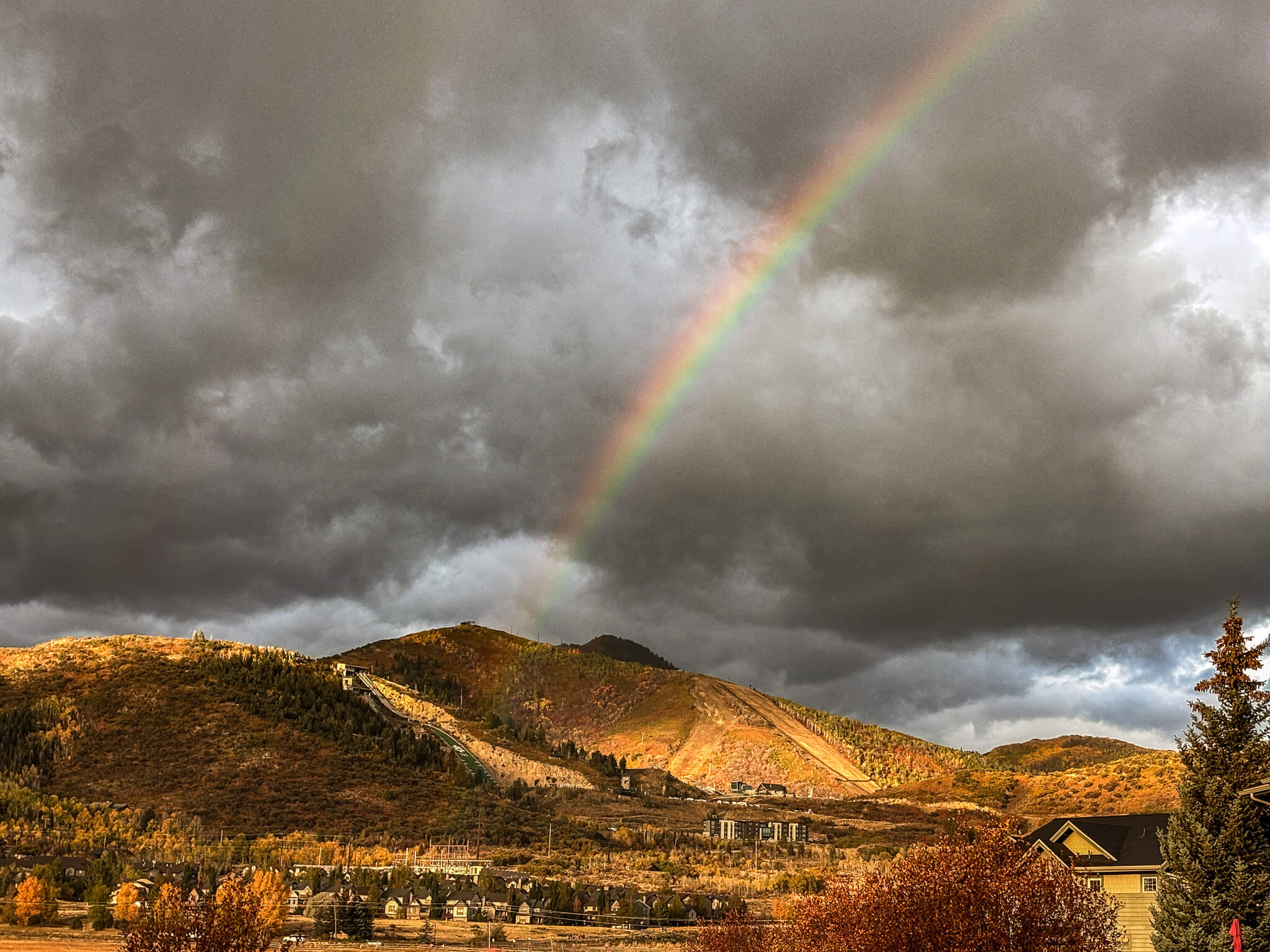 Olympic Museum Park City Utah A Celebration of Sports and Culture