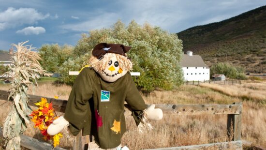 The annual scarecrow festival at McPolin Barn.