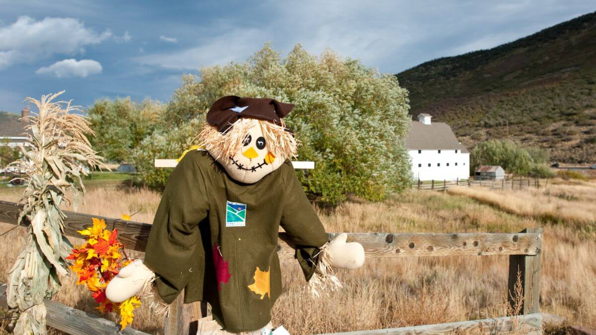 The annual scarecrow festival at McPolin Barn.