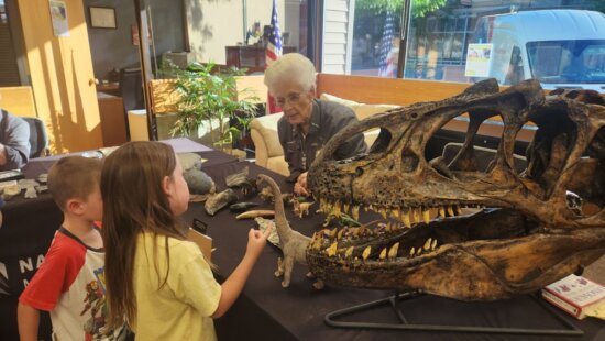 From the scary stares of moths to the sharp spikes of the Stegosaurus, the “Defense Experts” exhibit showcases how organisms – from plants to dinosaurs — have developed unique ways of defending themselves.