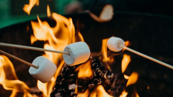 selective focus photography of marshmallows on fire pit
