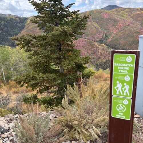 Sasquatch hiking trail at Utah Olympic Park.