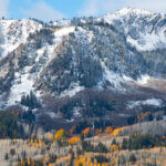 Snowliage on Guardsman's Pass Oct. 7, 2025.