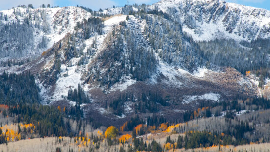 Snowliage on Guardsman's Pass Oct. 7, 2025
