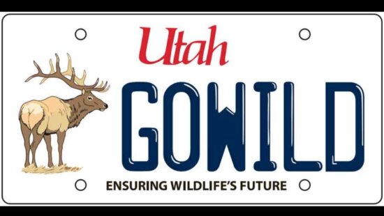 The elk Utah wildlife license plate.