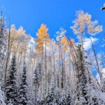 Early season snow, October 2025.