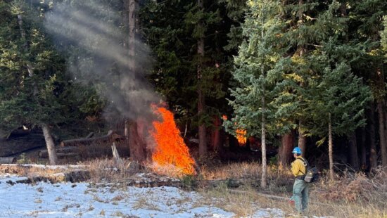 Crews conduct a prescribed pile-burning operation in Millcreek Canyon.