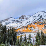 Six inches fell over the weekend at the Albion Basin in Alta.