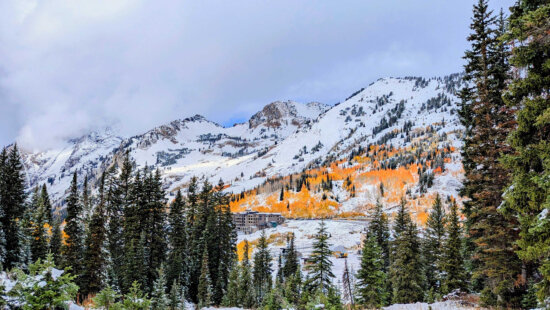 Six inches fell over the weekend at the Albion Basin in Alta.