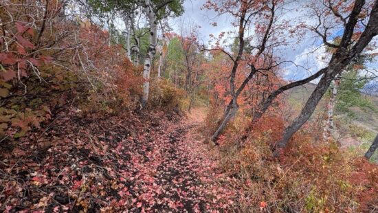 New trails have opened at the Utah Olympic Park.