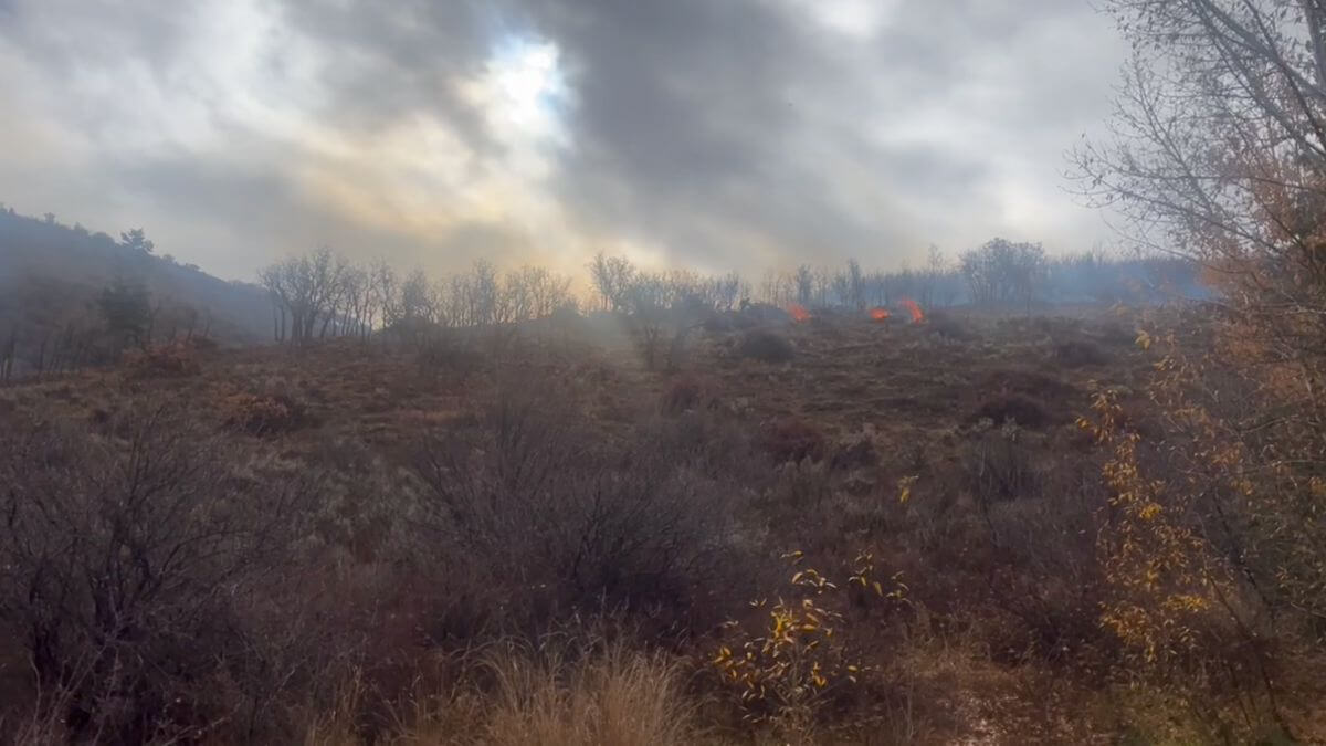 Prescribed burn in the prospector area on October 27, 2025.