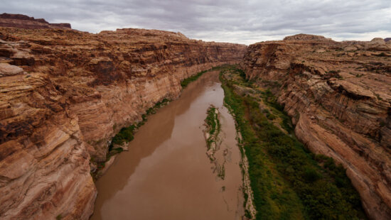 The Colorado River is pictured where it flows near Hite, just beyond the upper reaches of Lake Powell, on Friday, Sept. 19, 2025.