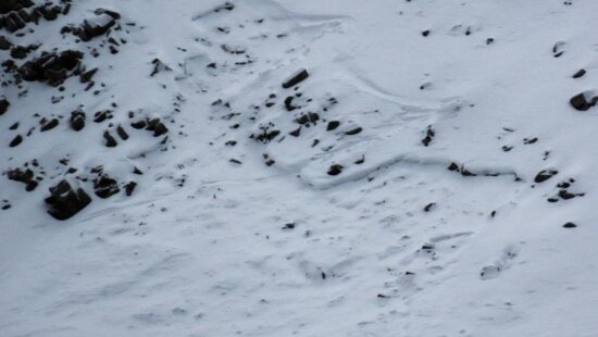One foot of drifted snow broke loose above a bed of rocks and bare ground on this northeast-facing slope, showing how little coverage it takes for early-season terrain to produce an avalanche.