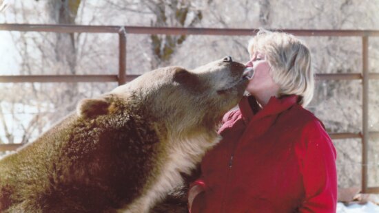 Lynne Seus shares a quiet moment with Bart the Bear at the couple’s ranch near Heber City. Over five decades, Lynne and her husband Doug Seus raised and trained some of Hollywood’s most famous bears, later turning their work toward wildlife conservation through the Vital Ground Foundation.