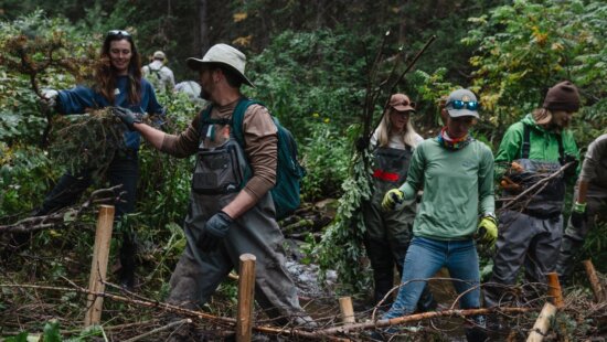 Workers in Millcreek Canyon create Beaver Dam Analogs (BDAs) to slow the flow of water and improve the canyon ecosystem.