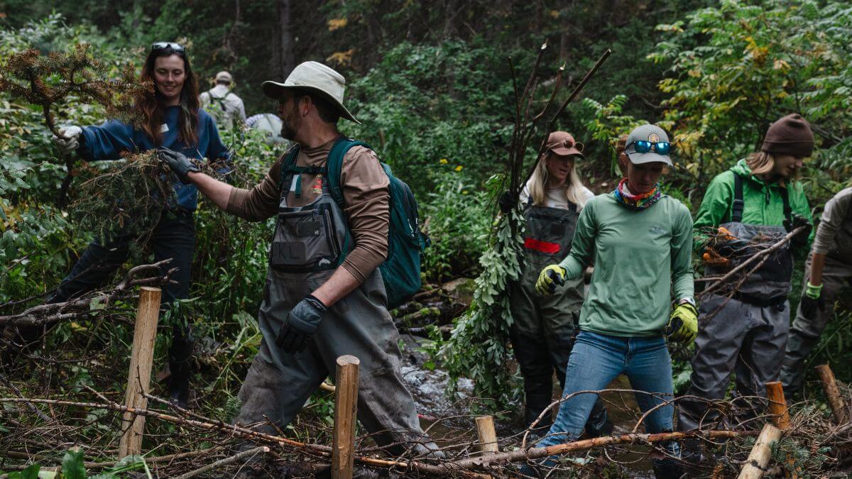 Workers in Millcreek Canyon create Beaver Dam Analogs (BDAs) to slow the flow of water and improve the canyon ecosystem.