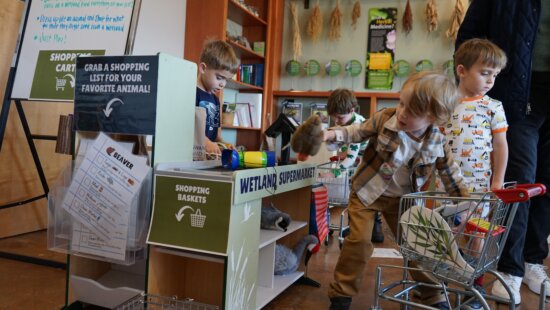 Kiddos checking out in the prototype version of the Wetland Supermarket exhibit.