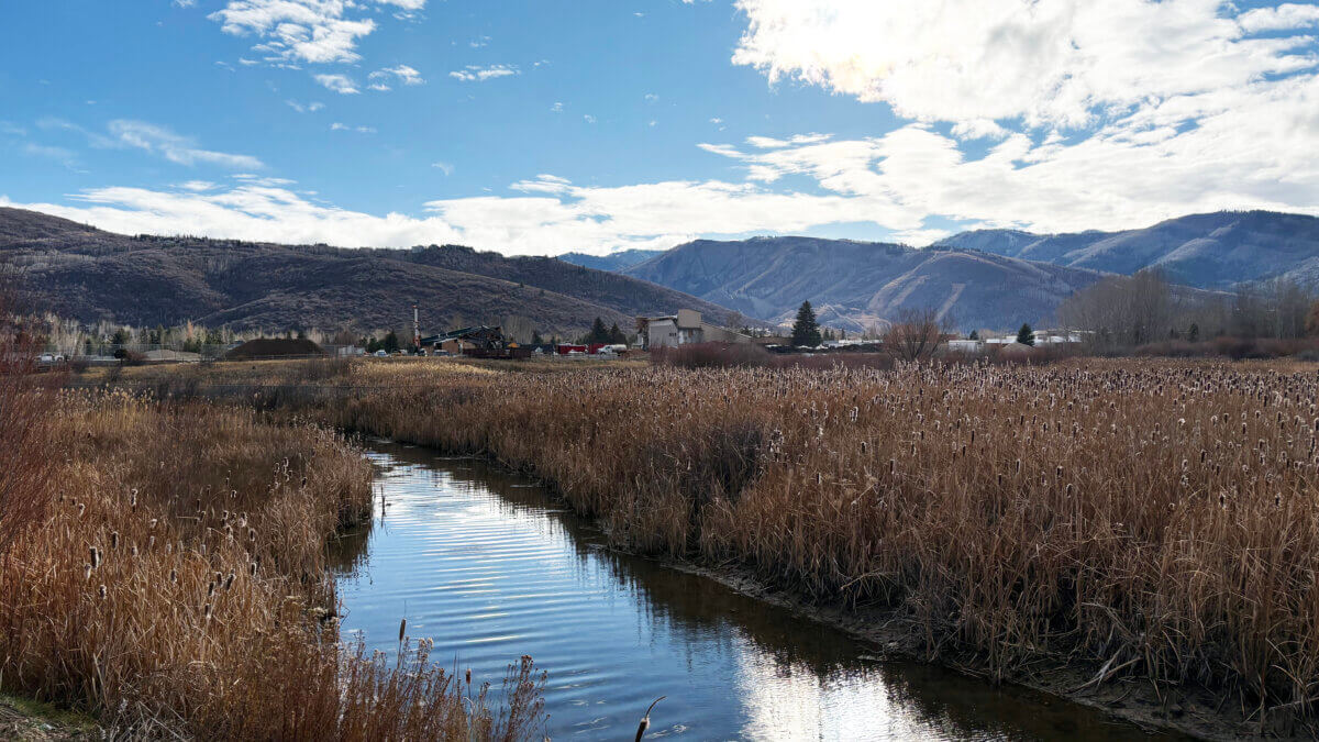 A view of the Treasure Mountain Junior High School and the creek that runs along its western site perimeter from the North 40 playing fields on November 19, 2025.
