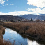 A view of the Treasure Mountain Junior High School and the creek that runs along its western site perimeter from the North 40 playing fields on November 19, 2025.