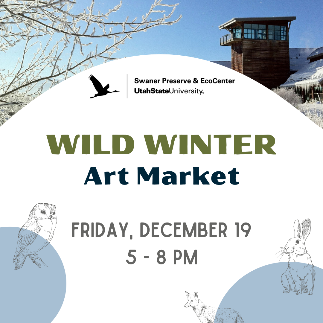 Wild Winter Art Market 2025 FB Posts