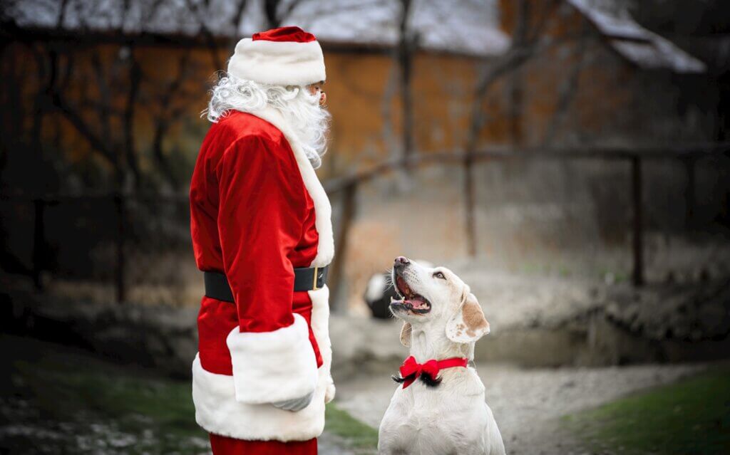 The Heber Valley Animal Shelter will host a pet-friendly Santa meet-and-greet.