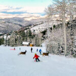 Skier reacts as two deer sprint across the slope at Deer Valley during a surprise wildlife encounter on opening weekend.