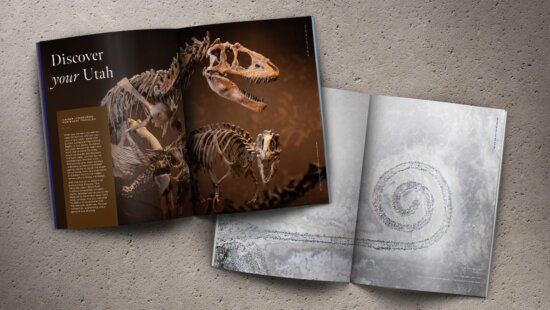 Collections Magazine winter 2026 issue introduces "Discover Your Utah," a new editorial feature offering curated itineraries that highlight Utah's places, moments and experiences that locals love most.