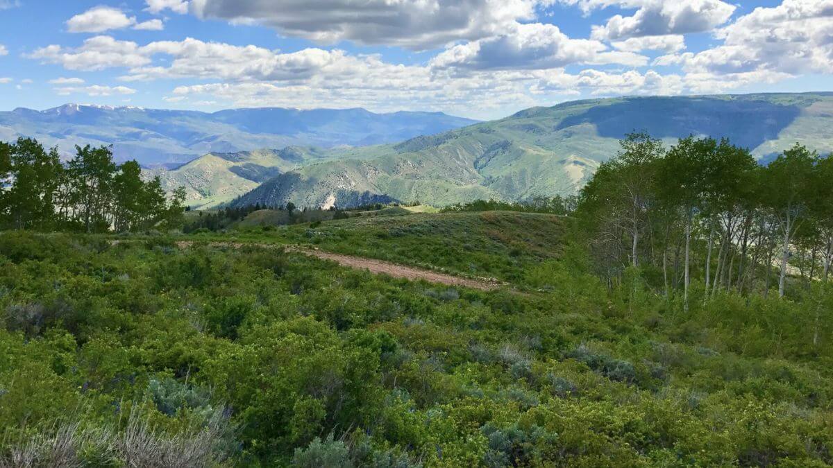 Tabby Mountain, a 28,500-acre block in eastern Utah owned by the Utah School and Institutional Trust Lands Administration. The land has been at the center of a controversy involving hunting interests, school trust principles, and the Ute Indian Tribe of the Uintah and Ouray Reservation.