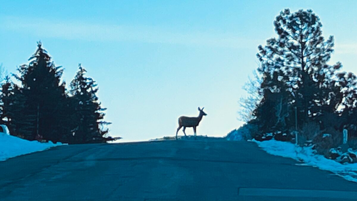Highland Estates neighborhood.