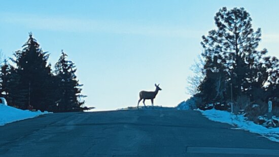 Highland Estates neighborhood.