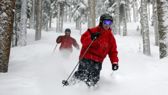 People ski between the trees in the deep powder at Telluride Ski Resort, March 10, 2006.