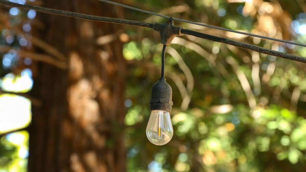 Business can choose from over 200 actions they can take toward more sustainable practices.