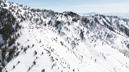 The DMI zone, a more than 1,000-acre zone at Powder Mountain, where Travis Rice's Natural Selection Tour will take place in February.