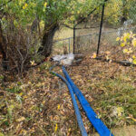 Hoses discharging groundwater directly into Silver Creek at the Treasure Mountain construction site from the Oct. 10, 2025 R&R Environmental email.
