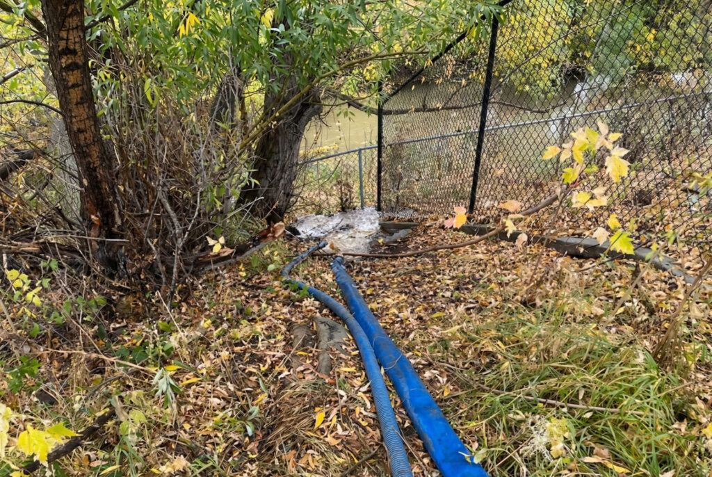 Hoses discharging groundwater directly into Silver Creek at the Treasure Mountain construction site from the Oct. 10, 2025.