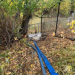 Hoses discharging groundwater directly into Silver Creek at the Treasure Mountain construction site from the Oct. 10, 2025 R&R Environmental email.