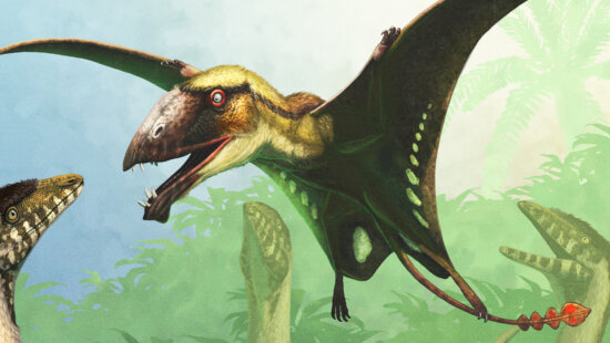 The Natural History Museum of Utah will mark its 10th annual DinoFest with “Prehistoric Skies,” a weekend exploring pterosaurs, early birds and flying insects — and how they interacted with dinosaurs below — Jan. 31-Feb. 1, 2026, in Salt Lake City.