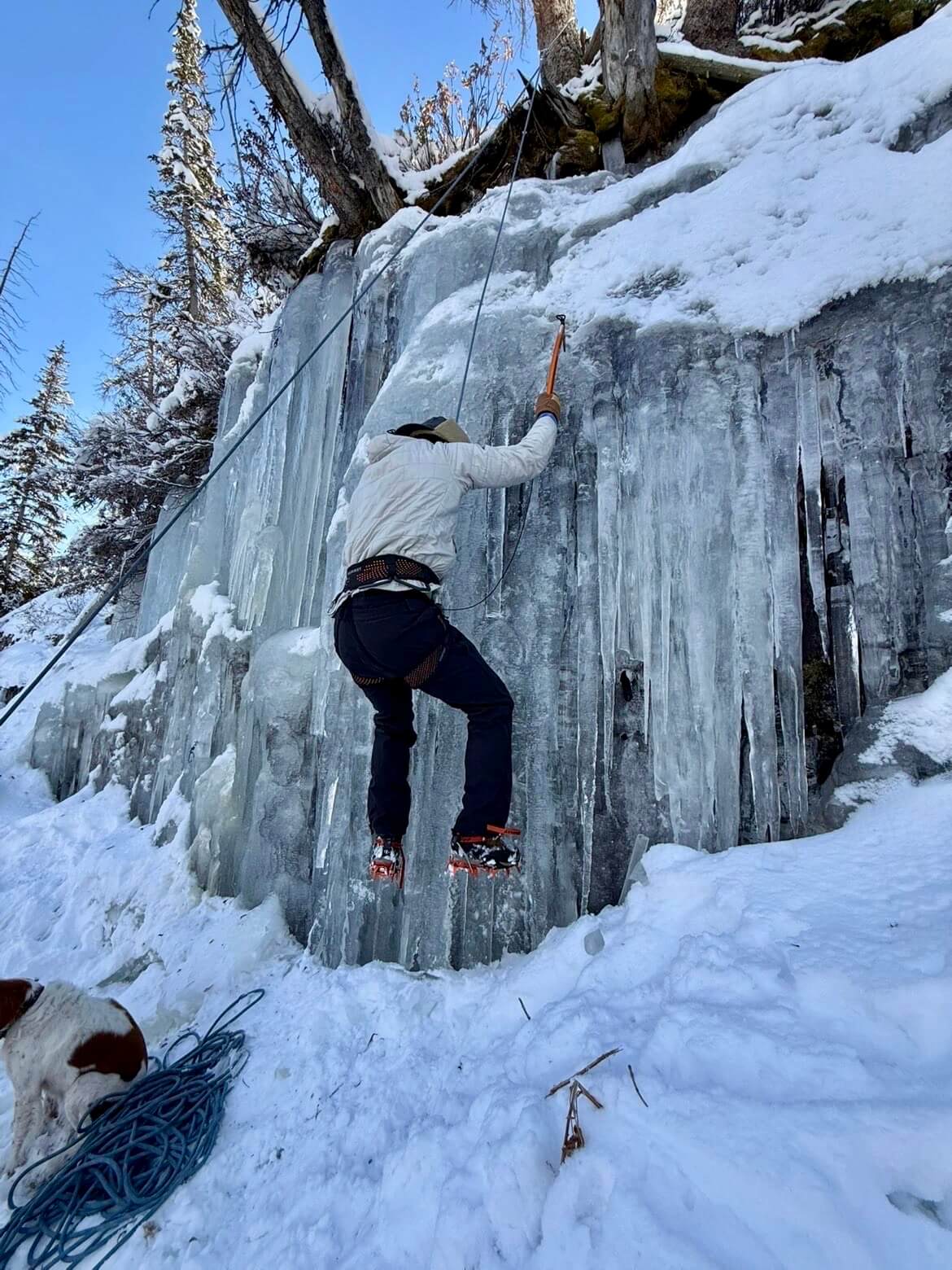 Root Roepke ice climbing in Utah.