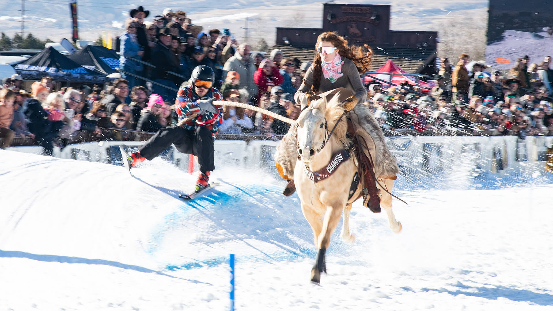 Skijoring Pro Finals Competition in Heber City, January 17, 2026